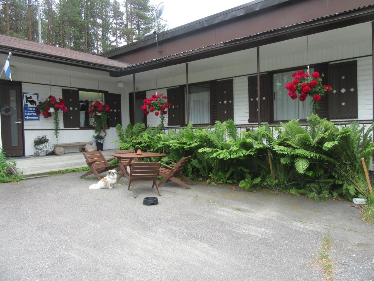 Ruska Bed & Breakfast Bed & Breakfast Taivalkoski Dış mekan fotoğraf